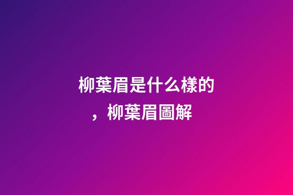 柳葉眉是什么樣的，柳葉眉圖解